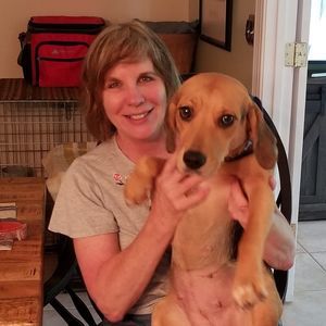 Meet your Posher, Janet